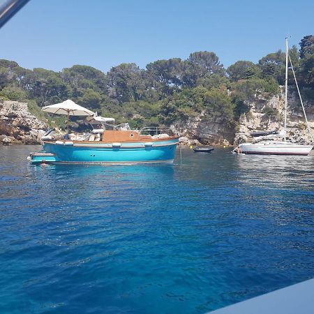 Апартаменты Een Parel Aan De Cote 'D Azur ! Валлорис Экстерьер фото